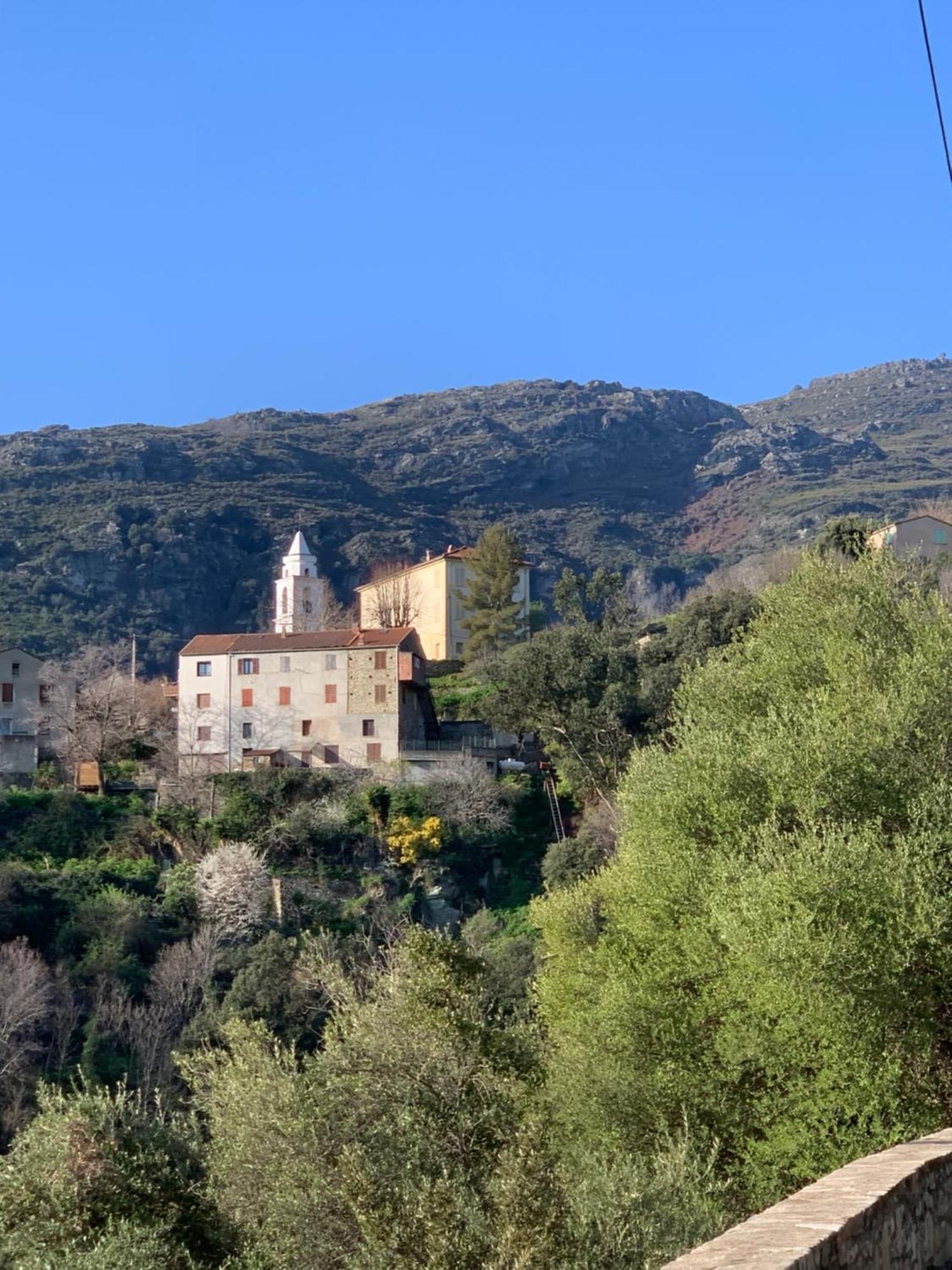 Villa A Casa Nostra Santo-Pietro-di-Tenda Exterior foto